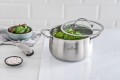 Garnek z pokrywką 18 cm Practi Plus Zwieger 5903357376420