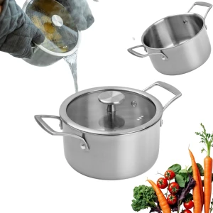 Remoska Proxima garnek ze stali nierdzewnej 20 cm 3 l