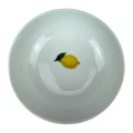 95b610bd8a28155f4c3bcdaba7bcde5a.png
