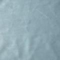 bVZ6BCj