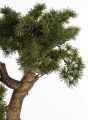 3b556d3955a4760d3f914225a13ecb2a-big.jpg
