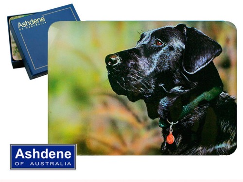 Podkł. korek duże 6 szt. - Black Labrador 5907580021096