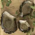Patera dekoracyjna IVA 1 25,5 x 4 cm 5907570412316