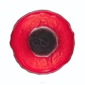 big_Mak-Salaterka-Mala-Top-1000x1000.webp