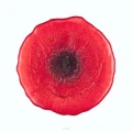 big_Mak-Talerz-Top-1000x1000.webp